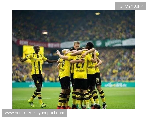 多特蒙德发布引援清单，荷兰火线人选进入视野