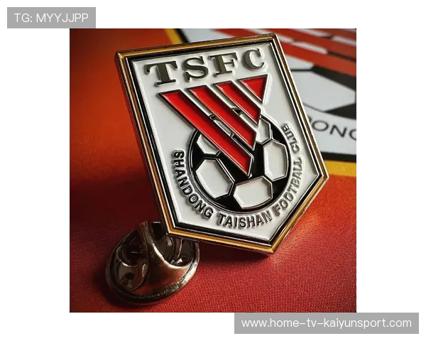 中超球队主场球迷互动活动开展，球迷给中超球队设计的队徽